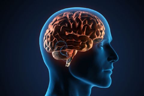 Beyin Damar Hastalıkları